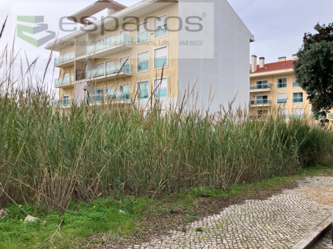 Terreno para Venda em Silveira Foto 1