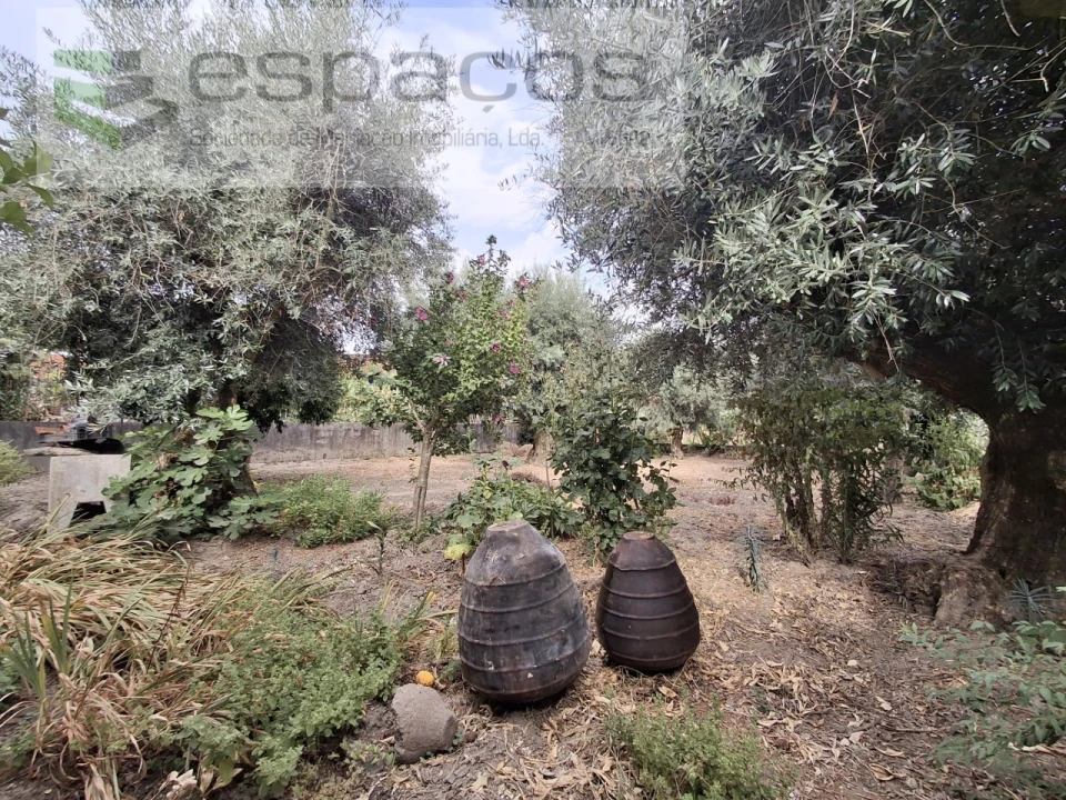 Moradia T3 para Venda em Telhado Foto 40