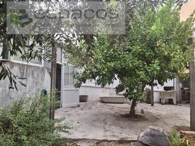 Moradia T3 para Venda em Telhado Foto 43