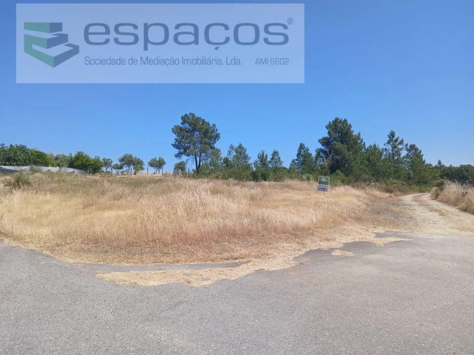 Terreno Agricola ou Rústico para Venda em Sarnadas de Rodão Foto 3