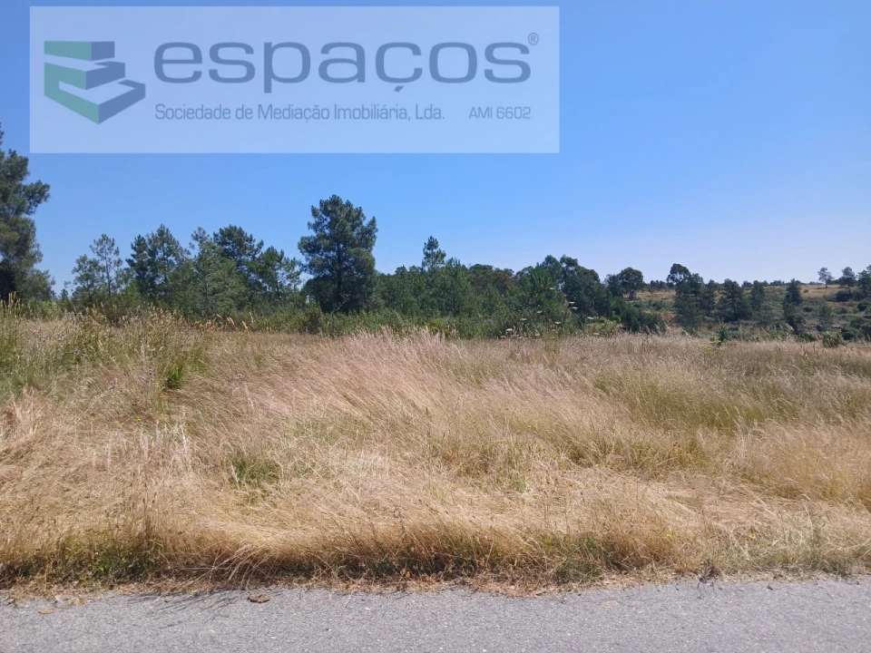Terreno Agricola ou Rústico para Venda em Sarnadas de Rodão Foto 4
