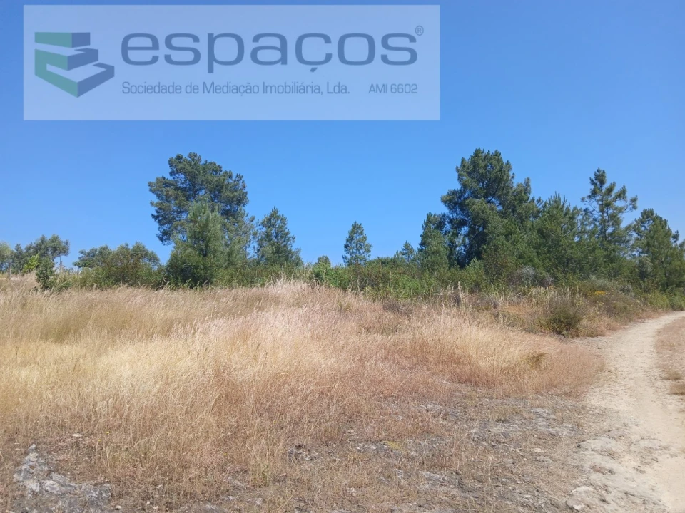 Terreno Agricola ou Rústico para Venda em Sarnadas de Rodão Foto 5
