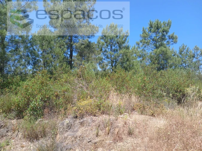 Terreno Agricola ou Rústico para Venda em Sarnadas de Rodão Foto 8
