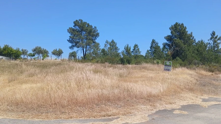 Terreno Agricola ou Rústico para Venda em Sarnadas de Rodão