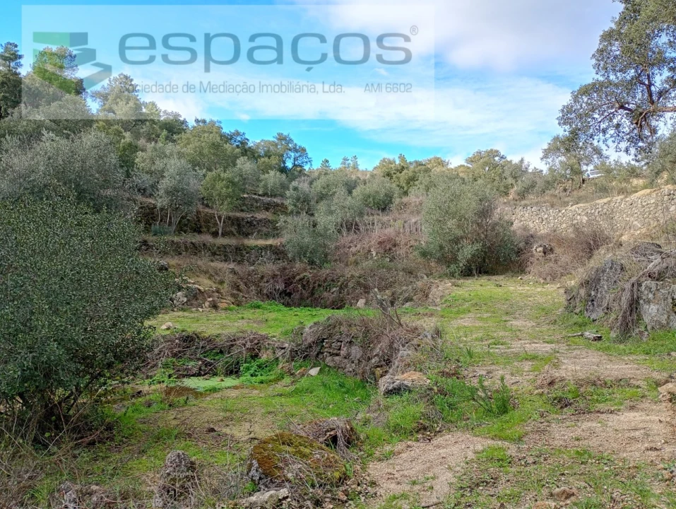 Terreno Agricola ou Rústico para Venda em Salgueiro do Campo Foto 1