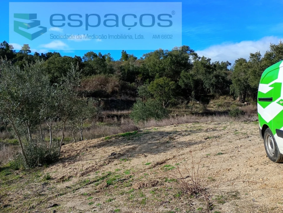 Terreno Agricola ou Rústico para Venda em Salgueiro do Campo Foto 4