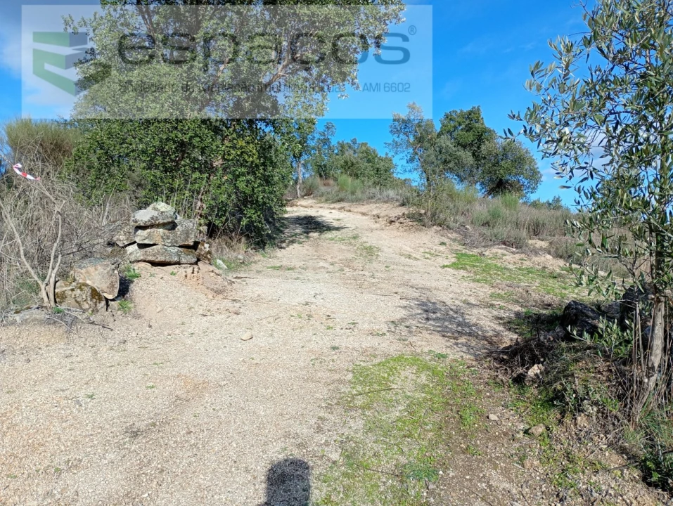 Terreno Agricola ou Rústico para Venda em Salgueiro do Campo Foto 5