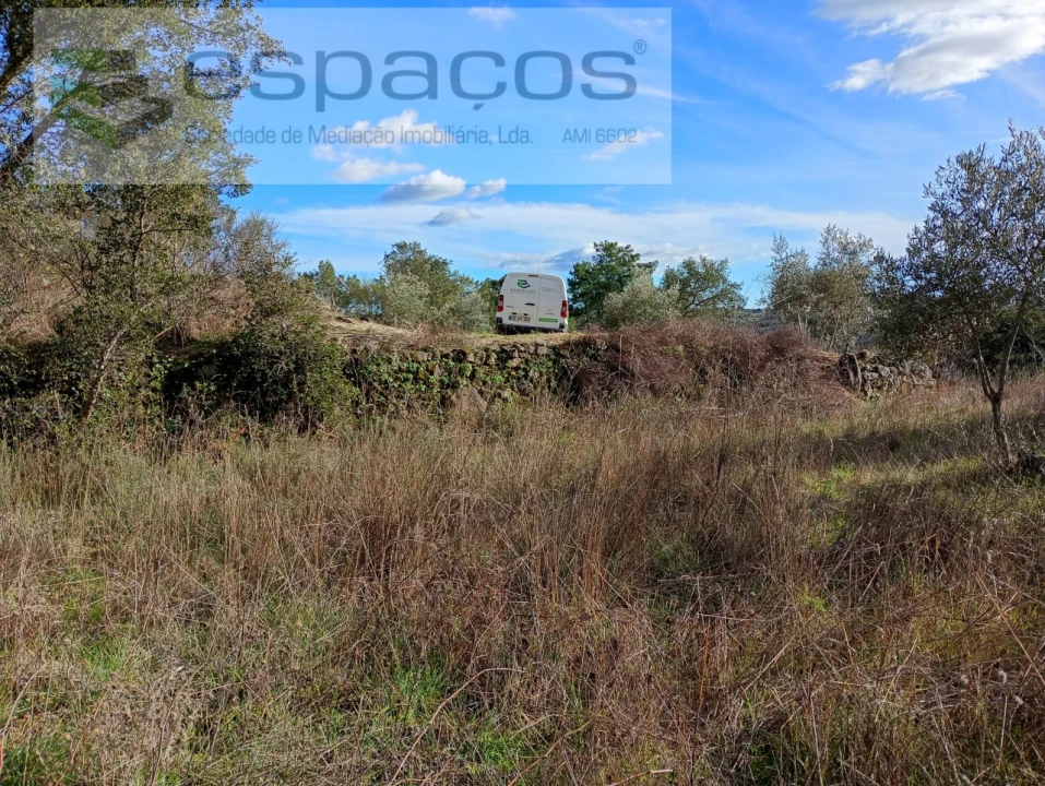 Terreno Agricola ou Rústico para Venda em Salgueiro do Campo Foto 12