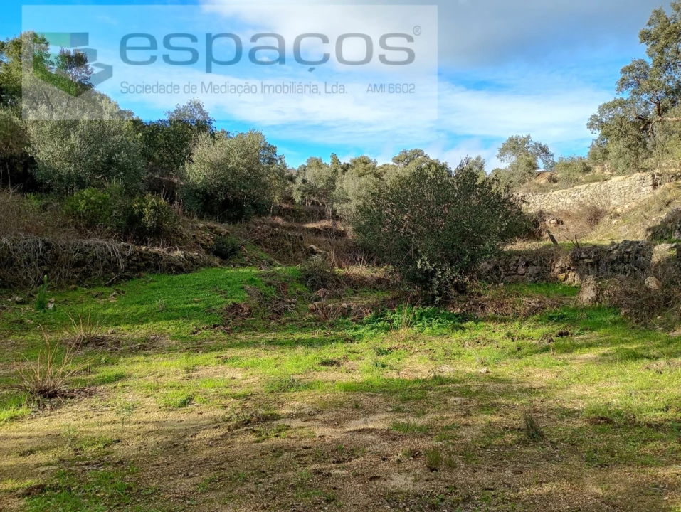 Terreno Agricola ou Rústico para Venda em Salgueiro do Campo Foto 15