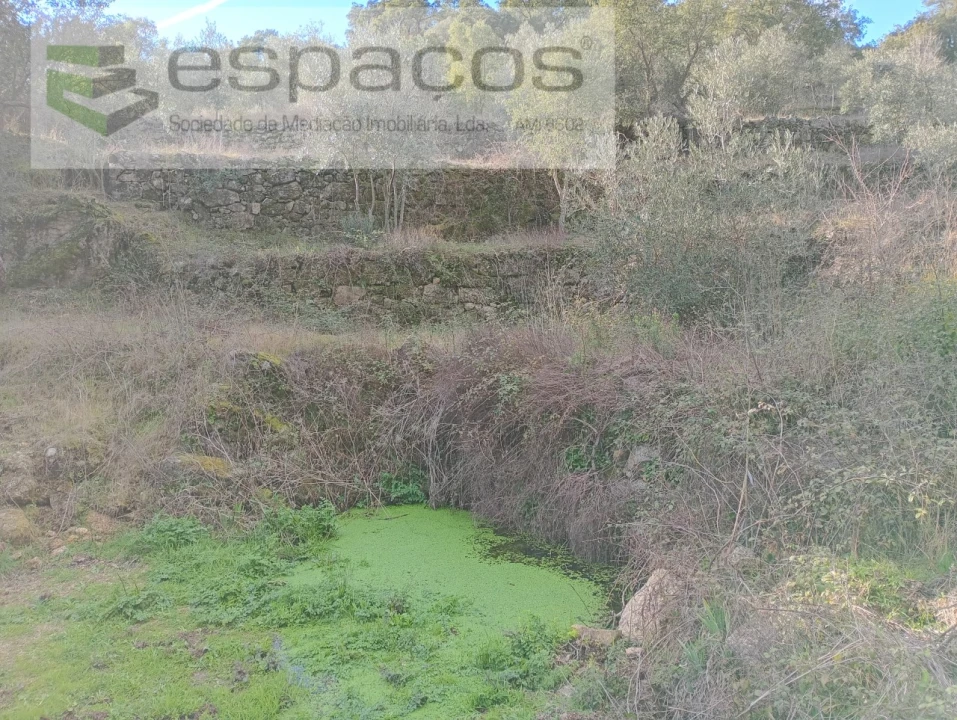 Terreno Agricola ou Rústico para Venda em Salgueiro do Campo Foto 16