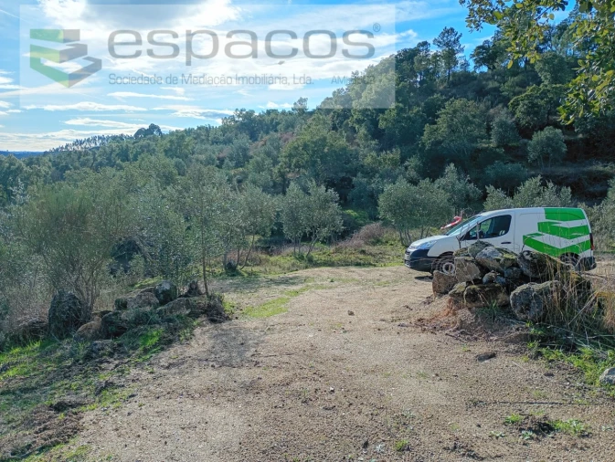 Terreno Agricola ou Rústico para Venda em Salgueiro do Campo Foto 3