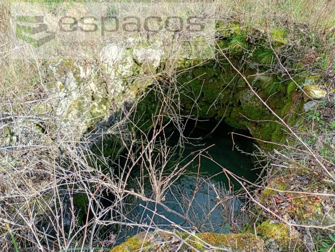 Terreno Agricola ou Rústico para Venda em Salgueiro do Campo Foto 9