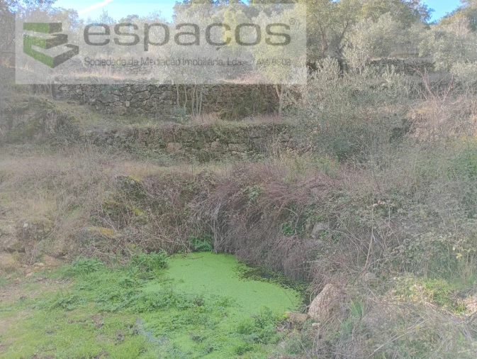 Terreno Agricola ou Rústico para Venda em Salgueiro do Campo Foto 16