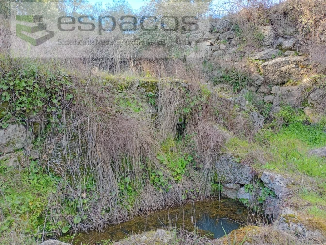 Terreno Agricola ou Rústico para Venda em Salgueiro do Campo Foto 17
