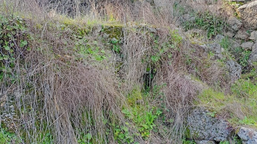 Terreno Agricola ou Rústico para Venda em Salgueiro do Campo