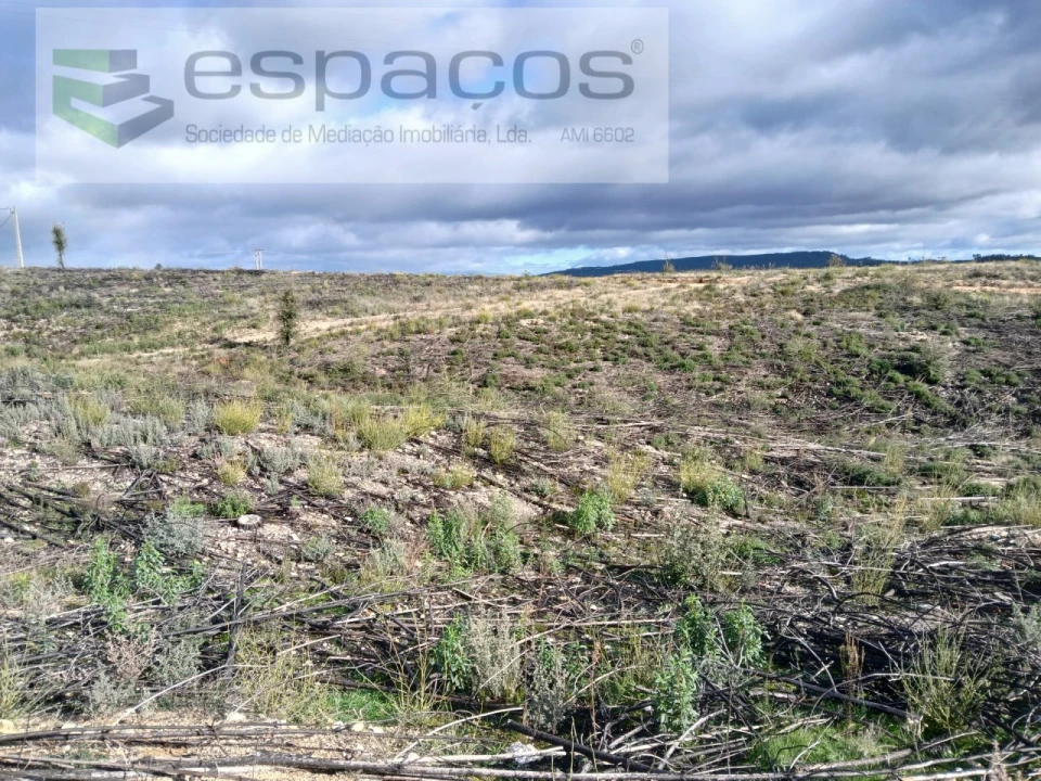 Terreno Agricola ou Rústico para Venda em Santo Andre das Tojeiras Foto 8