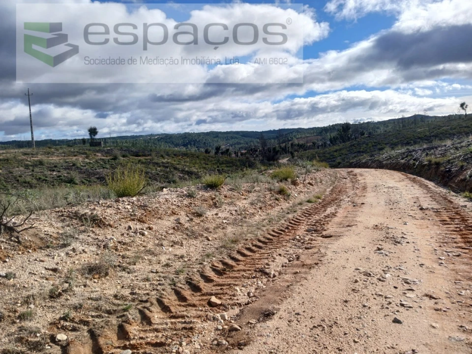Terreno Agricola ou Rústico para Venda em Santo Andre das Tojeiras Foto 9
