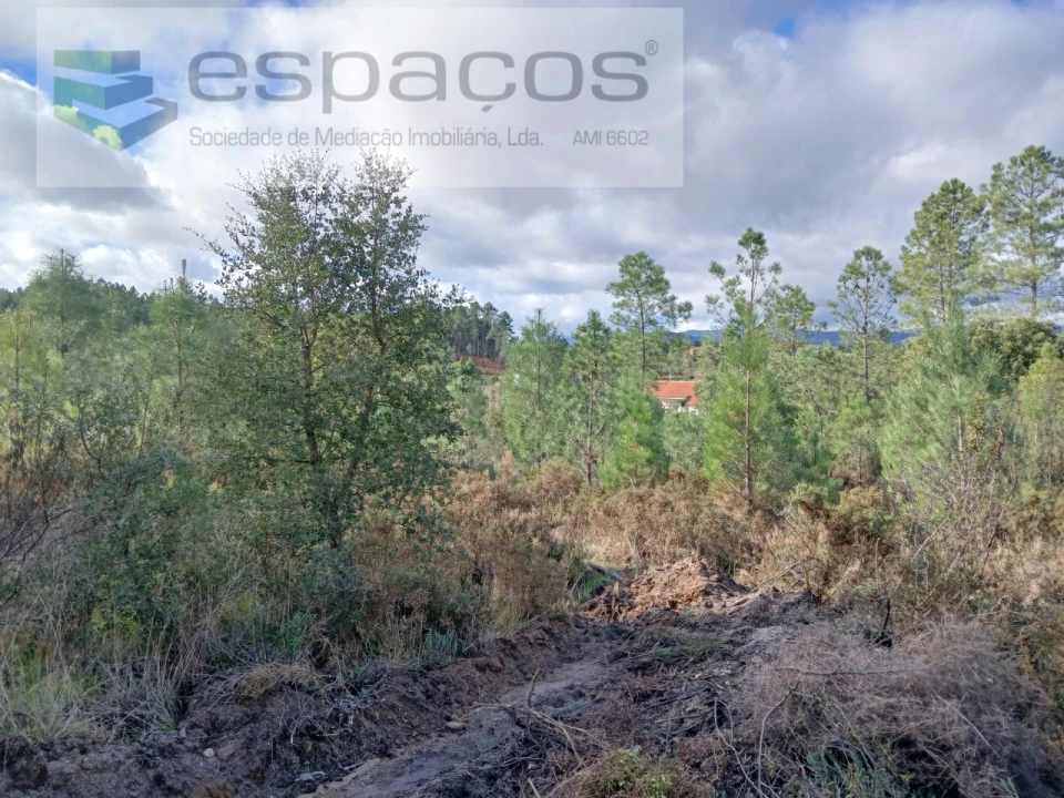 Terreno Agricola ou Rústico para Venda em Santo Andre das Tojeiras Foto 13