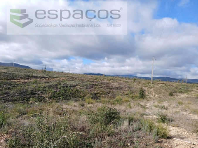 Terreno Agricola ou Rústico para Venda em Santo Andre das Tojeiras Foto 10