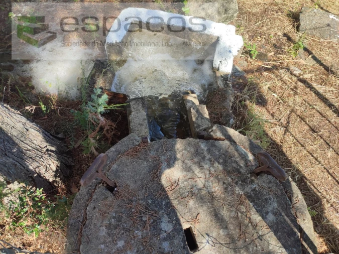 Quinta T1 para Venda em Ladoeiro Foto 16