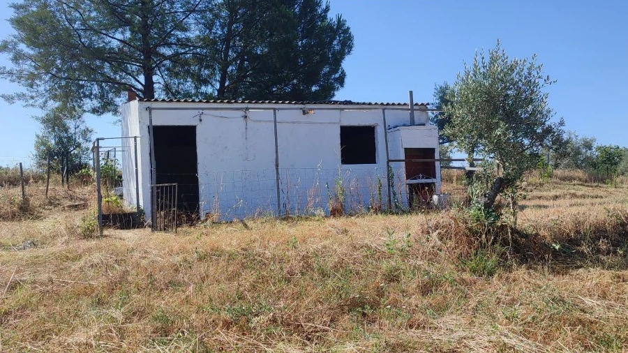 Quinta T1 para Venda em Ladoeiro