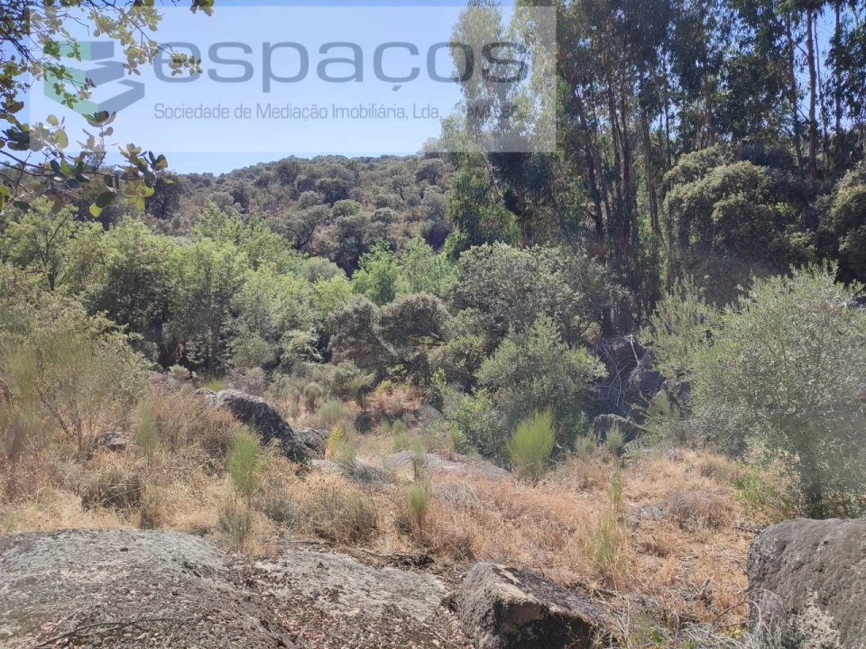 Terreno Agricola ou Rústico para Venda em Escalos de Baixo e Mata Foto 6