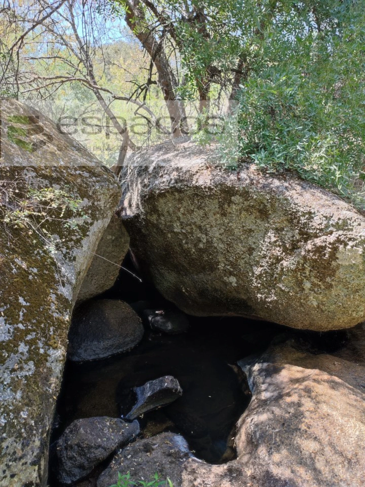 Terreno Agricola ou Rústico para Venda em Escalos de Baixo e Mata Foto 14