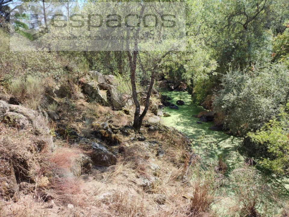 Terreno Agricola ou Rústico para Venda em Escalos de Baixo e Mata Foto 18