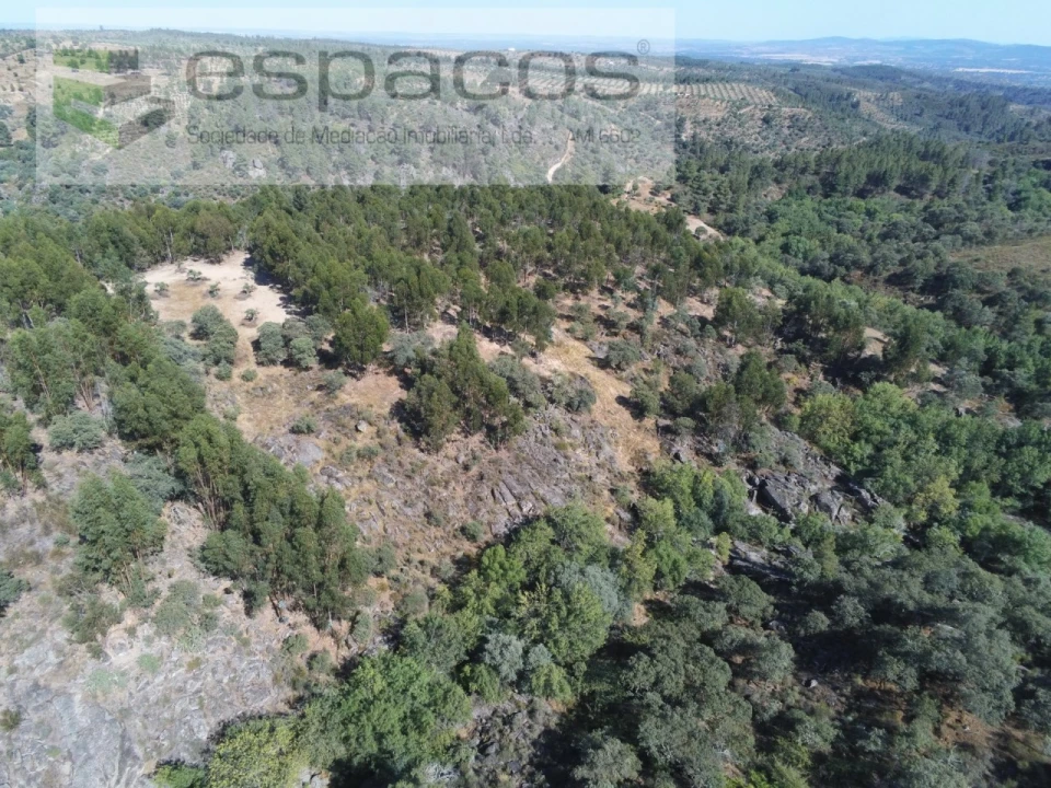 Terreno Agricola ou Rústico para Venda em Escalos de Baixo e Mata Foto 25