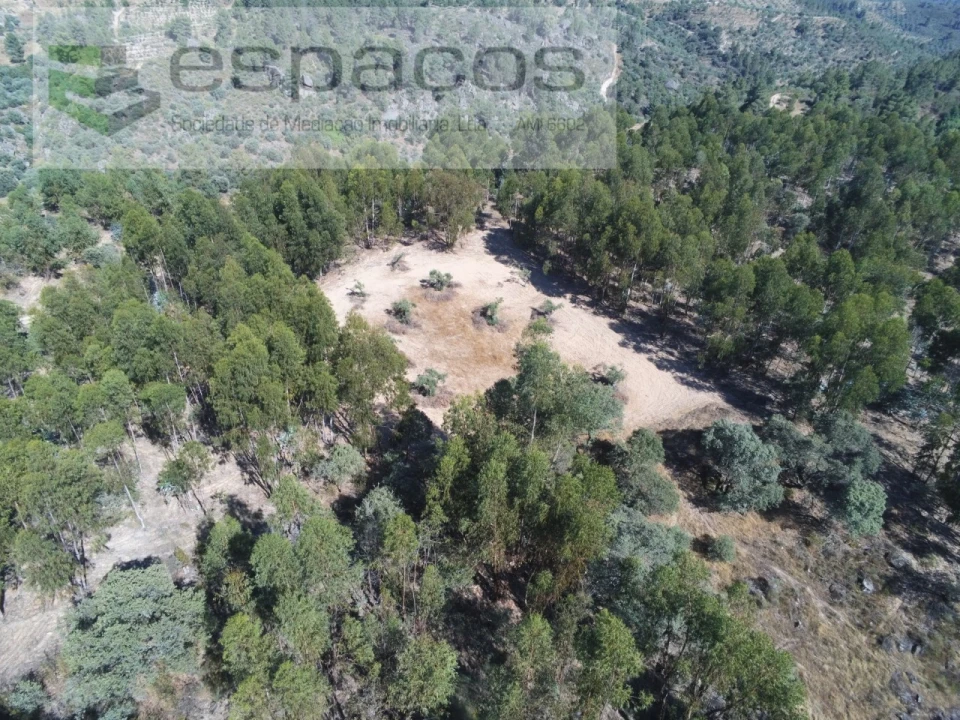 Terreno Agricola ou Rústico para Venda em Escalos de Baixo e Mata Foto 27