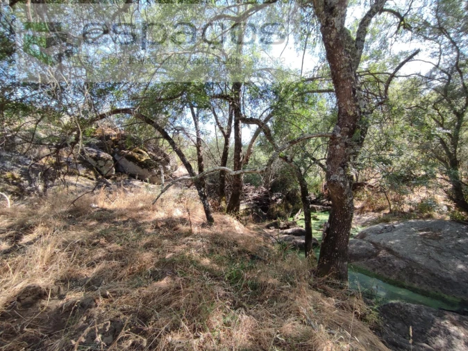 Terreno Agricola ou Rústico para Venda em Escalos de Baixo e Mata Foto 8