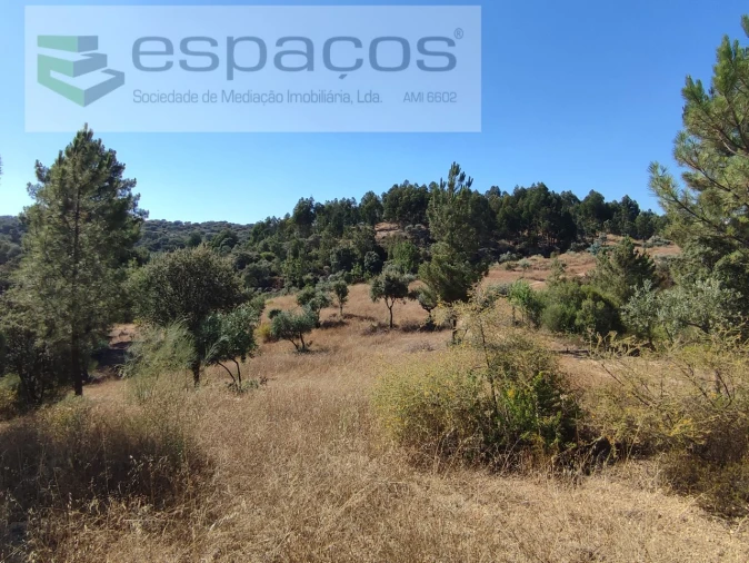 Terreno Agricola ou Rústico para Venda em Escalos de Baixo e Mata Foto 9