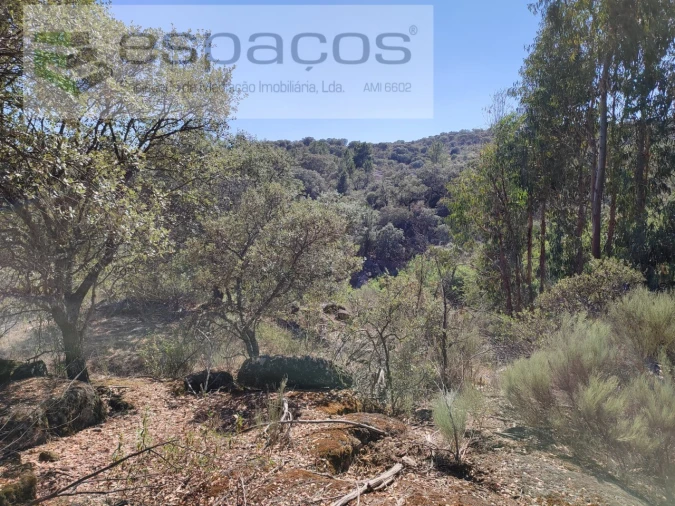 Terreno Agricola ou Rústico para Venda em Escalos de Baixo e Mata Foto 10