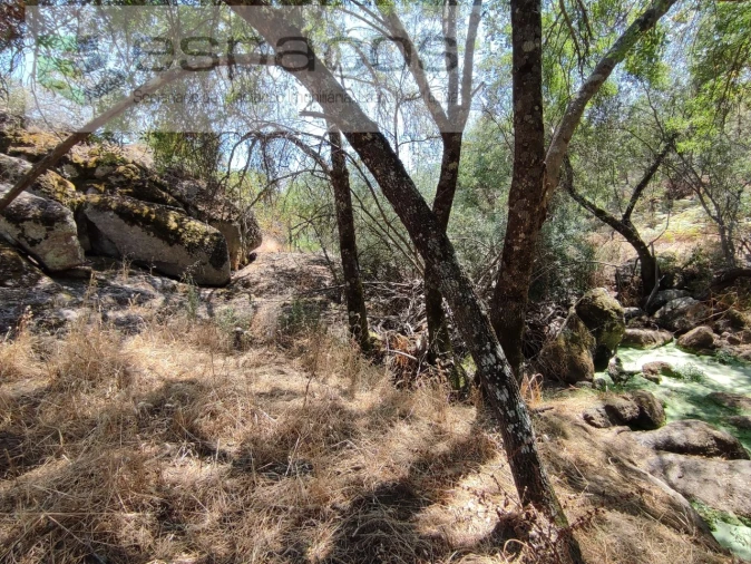 Terreno Agricola ou Rústico para Venda em Escalos de Baixo e Mata Foto 11