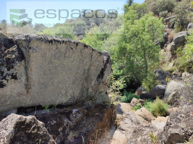 Terreno Agricola ou Rústico para Venda em Escalos de Baixo e Mata Foto 12