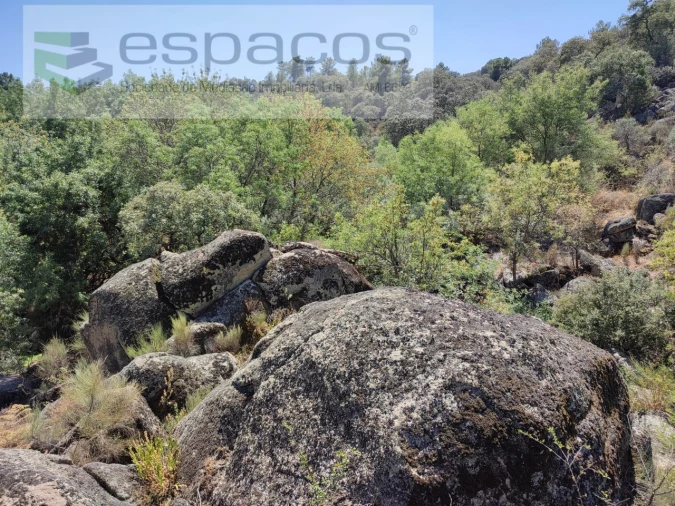 Terreno Agricola ou Rústico para Venda em Escalos de Baixo e Mata Foto 7