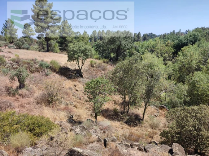 Terreno Agricola ou Rústico para Venda em Escalos de Baixo e Mata Foto 17