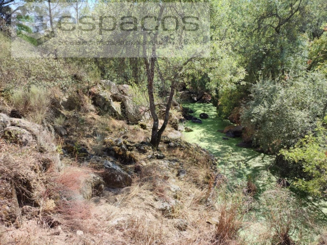 Terreno Agricola ou Rústico para Venda em Escalos de Baixo e Mata Foto 18