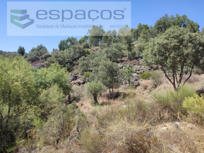 Terreno Agricola ou Rústico para Venda em Escalos de Baixo e Mata Foto 19