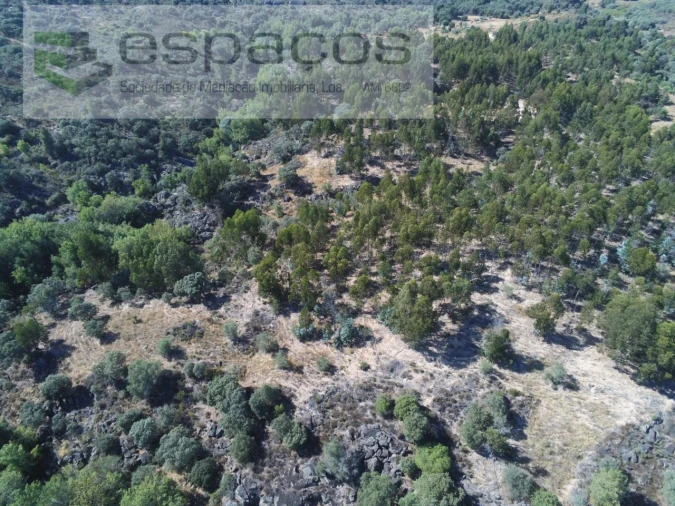 Terreno Agricola ou Rústico para Venda em Escalos de Baixo e Mata Foto 22