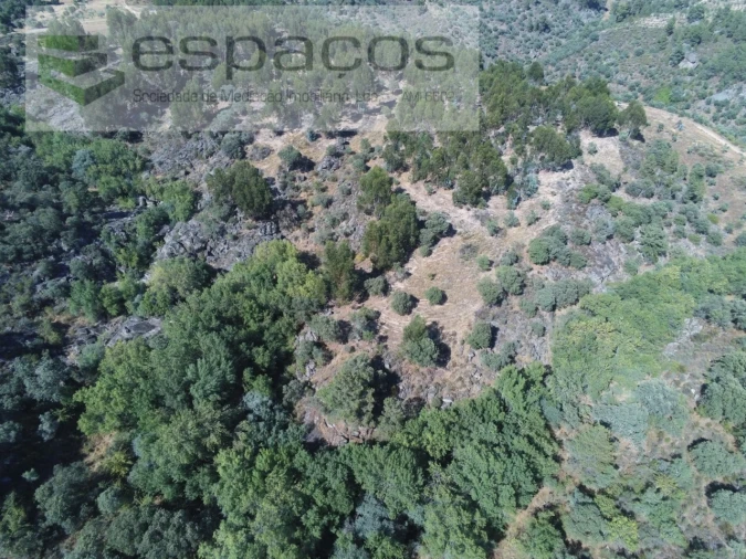Terreno Agricola ou Rústico para Venda em Escalos de Baixo e Mata Foto 23