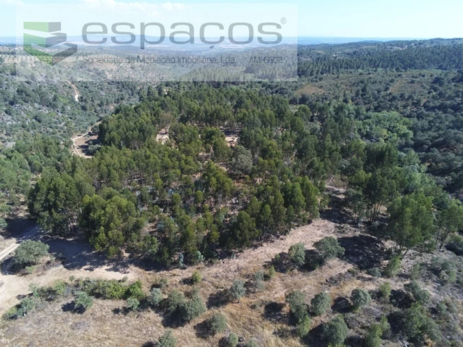 Terreno Agricola ou Rústico para Venda em Escalos de Baixo e Mata Foto 2