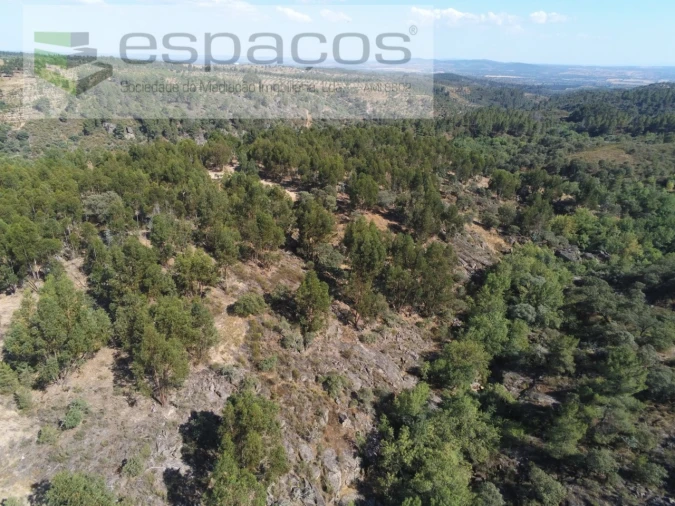 Terreno Agricola ou Rústico para Venda em Escalos de Baixo e Mata Foto 26