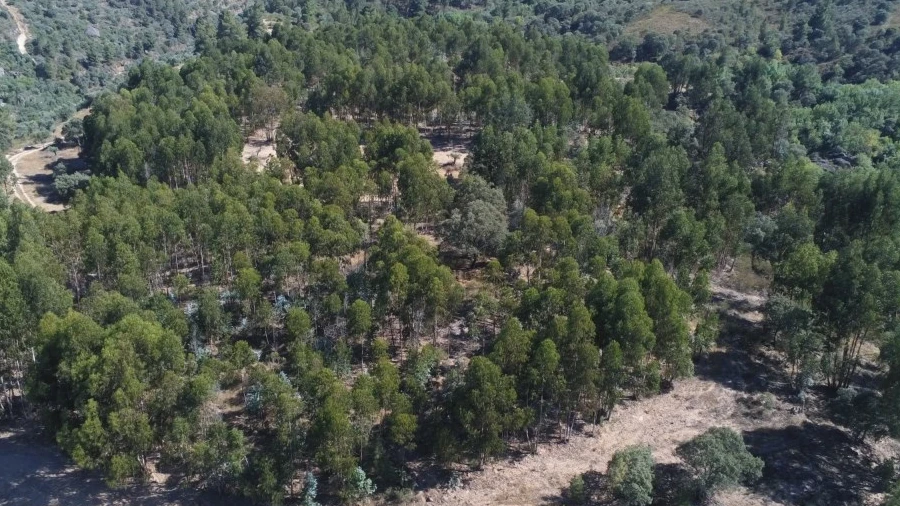 Terreno Agricola ou Rústico para Venda em Escalos de Baixo e Mata