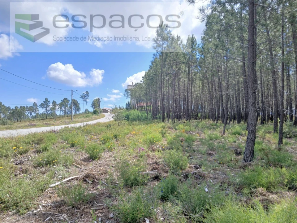 Quinta para Venda em Sarzedas Foto 17