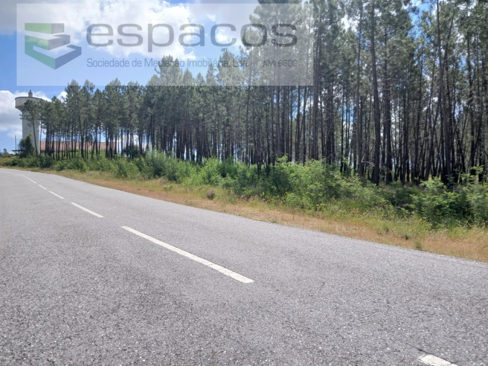 Quinta para Venda em Sarzedas Foto 13