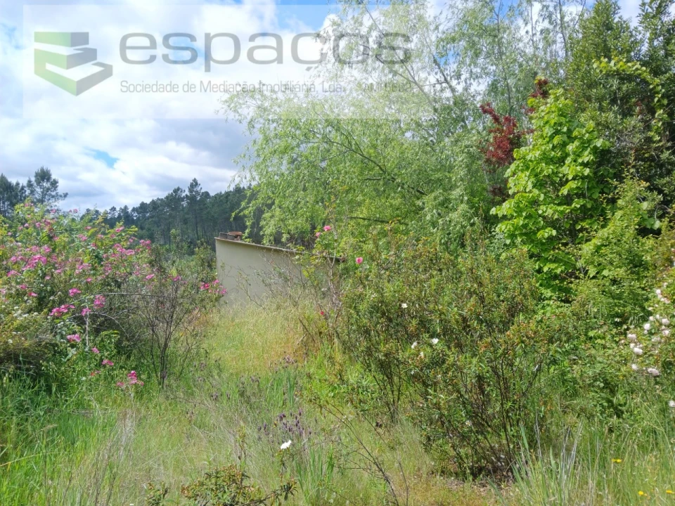 Quinta para Venda em Sarzedas Foto 19