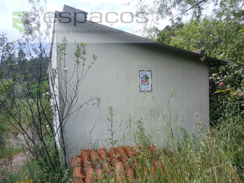 Quinta para Venda em Sarzedas Foto 8