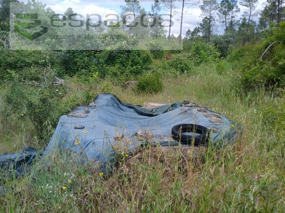 Quinta para Venda em Sarzedas Foto 22