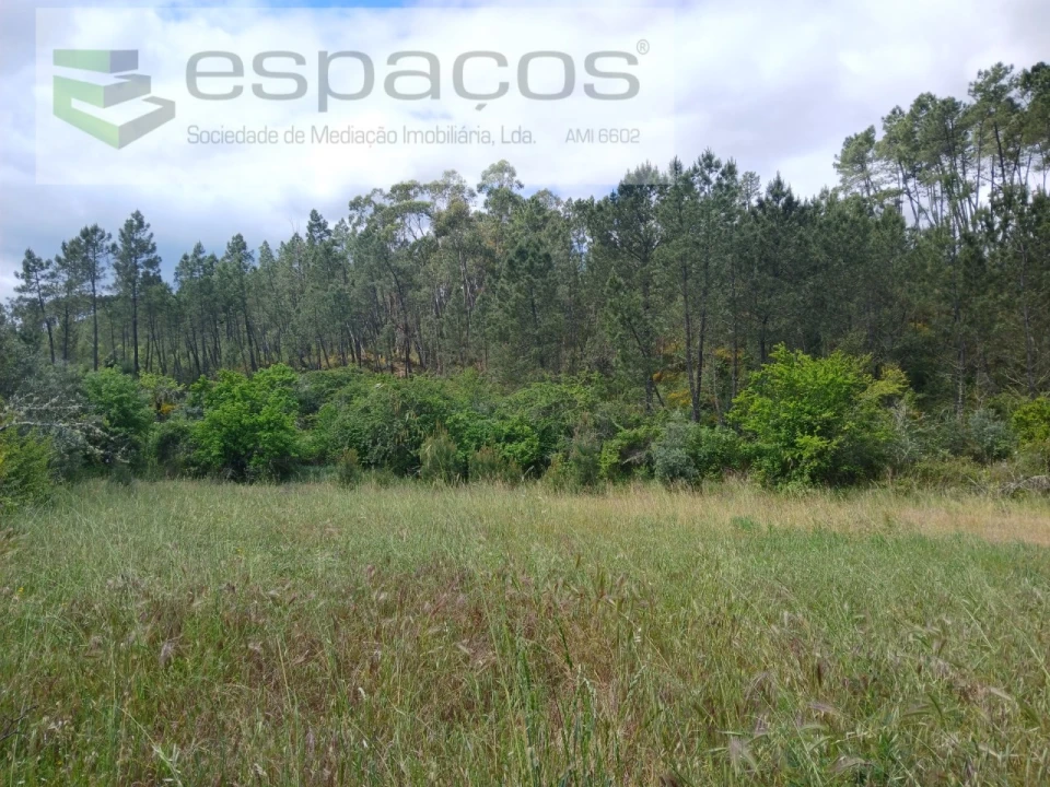 Quinta para Venda em Sarzedas Foto 23